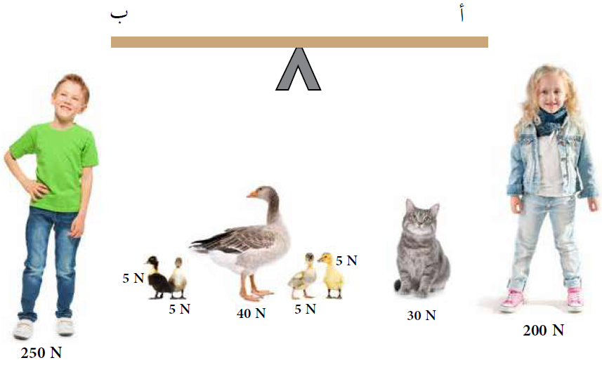 أوزان طرفي الرافعة باختيار الأوزان المناسبة للطرفين أوزان طرفي الرافعة باختيار الأوزان المناسبة للطرفين